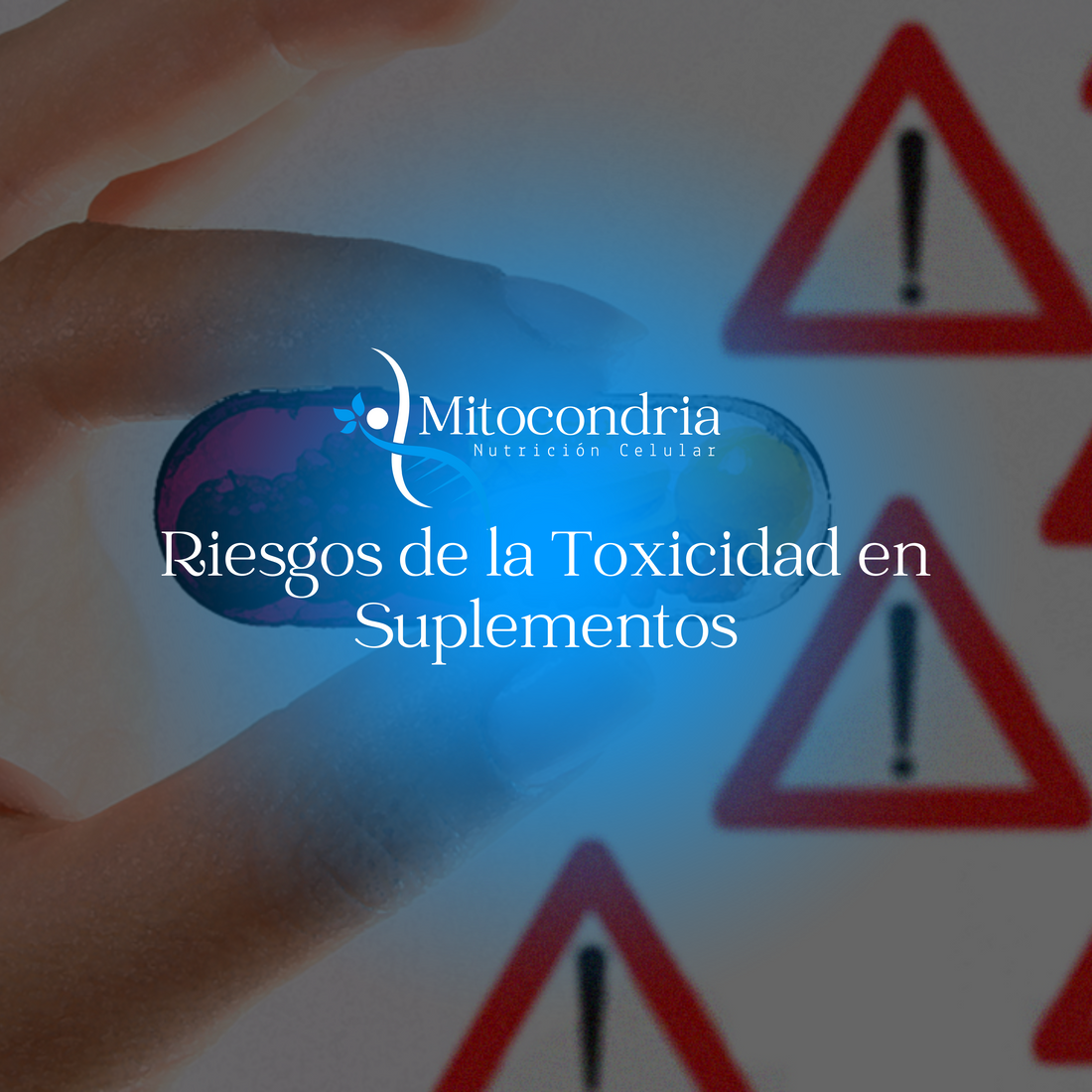 Riesgos de la Toxicidad en Suplementos