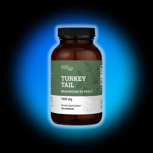 Turkey Tail - Hongo Cola de Pavo